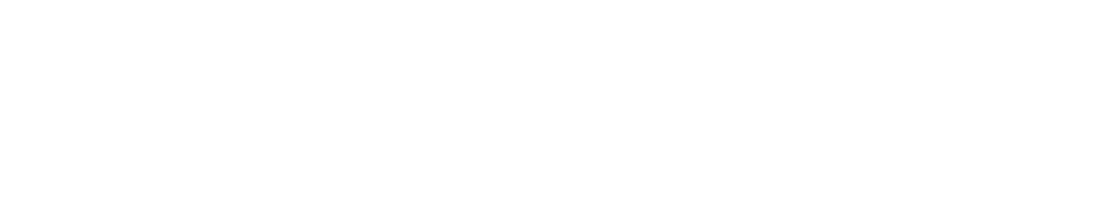 Lanesborough Investment & Asset Management